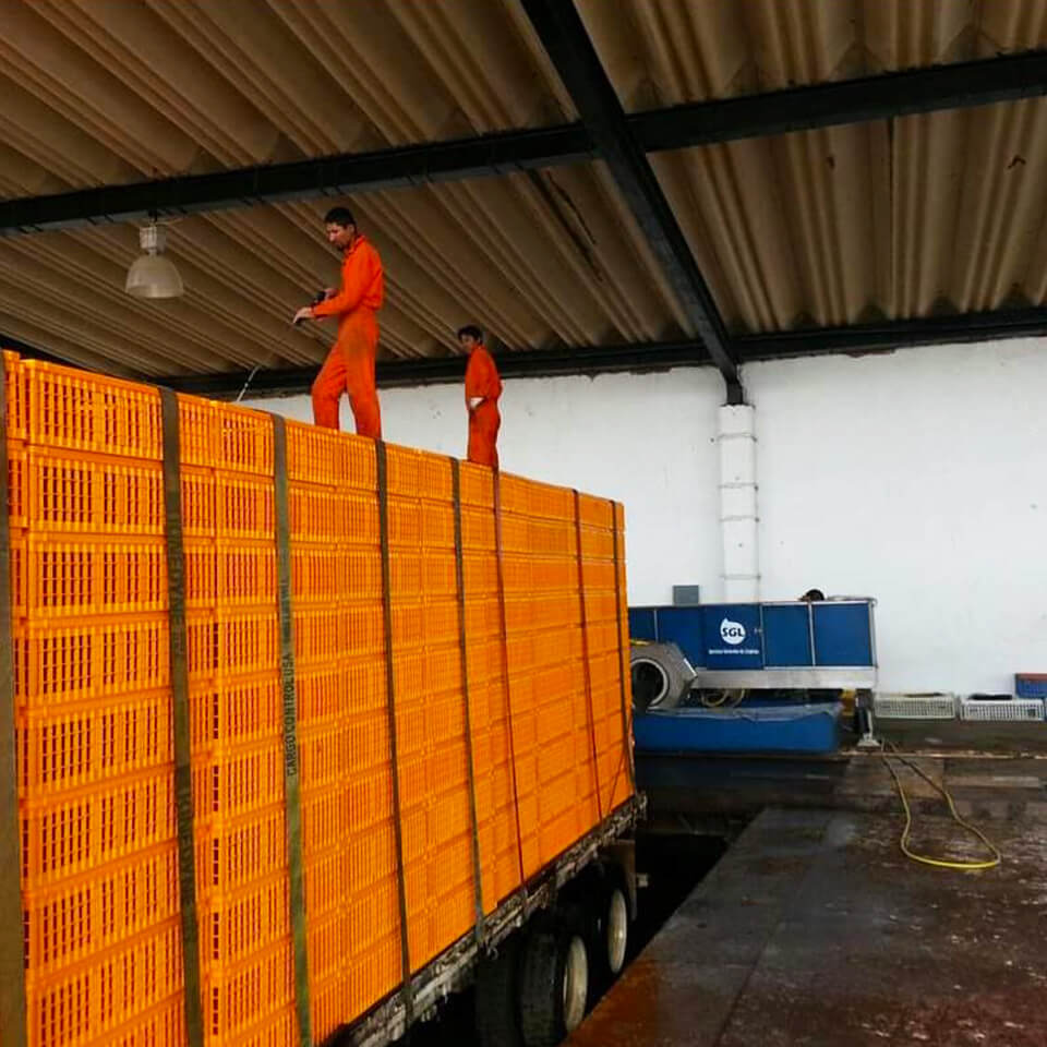 miitra servicios para el transporte lavado de trailers